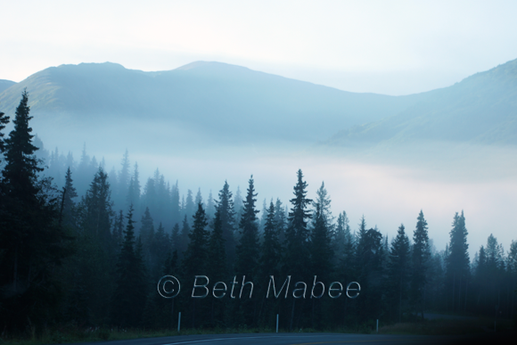Mountain Mist